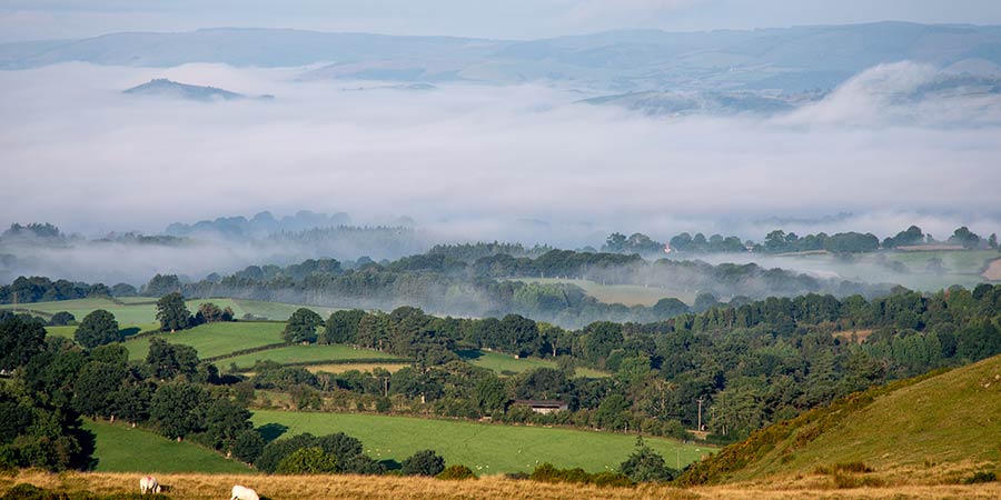 Enjoying a guided hike through the scenic Welsh heartlands