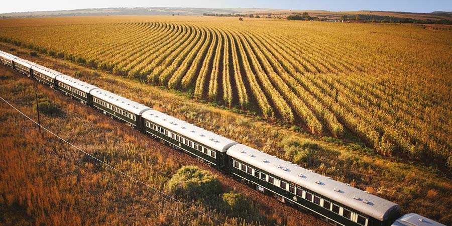 The Rovos Rail train passes through lush scenery. 