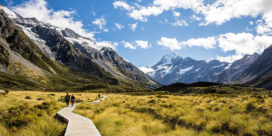 A walkway at Aoraki. 